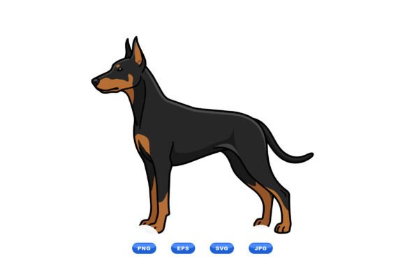 Doberman Pinscher Dog Illustration Review